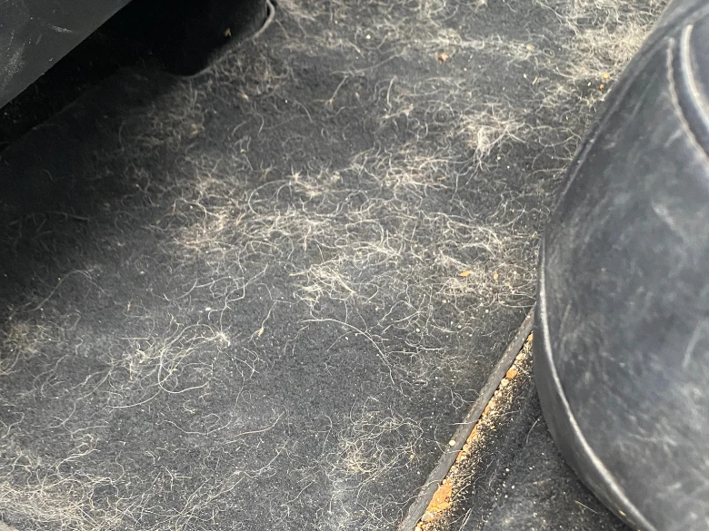 dirty tesla before detailing